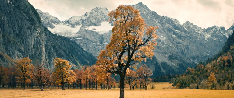 Still aus dem Projekt Tirol Werbung